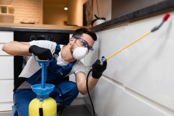 Flea Control Services in Mesa Del Caballo, AZ