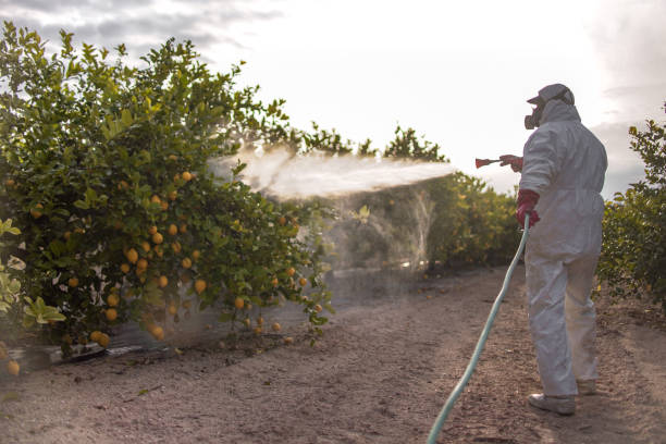 Best Cockroach Control Services  in Mesa Del Caballo, AZ