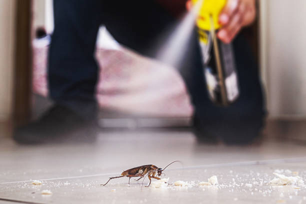 Best Wildlife Control Services  in Mesa Del Caballo, AZ